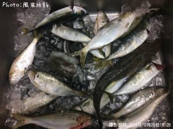 �ޥ��������С����Υ���������