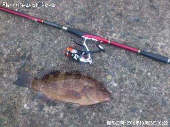 �������ϥ�