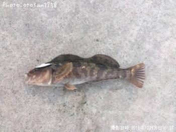 �����ʥ�