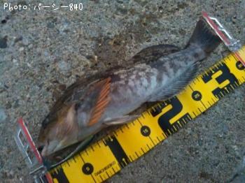 �����ʥ�