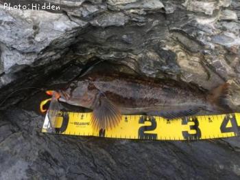 �����ʥ�