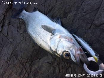 �ҥ饹����