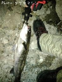 �����Х�