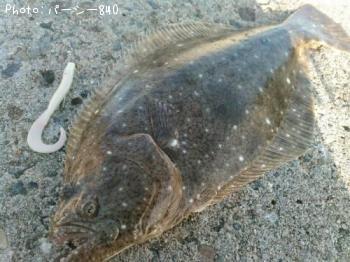 �ҥ��ʥ�����