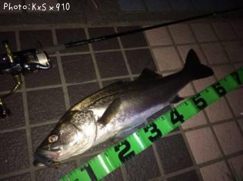 �����Х�