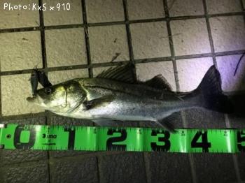 �����Х�