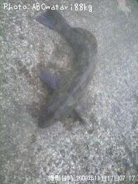 �����ʥ�