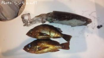 �����ϥ�