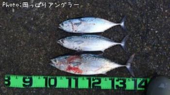 ���ޥ��ĥ�