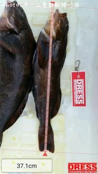 �����ʥ�