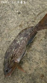 �����ʥ�