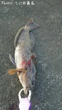 �����ʥ�