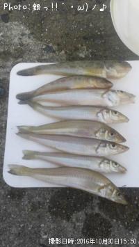 �������ϥ�