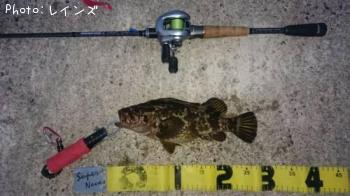 ¥¿¥Î¥³¥á¥Ð¥ë