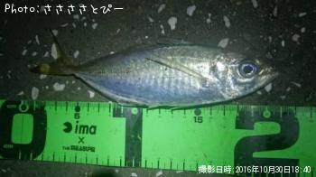 ��������Х�