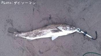 �����Х�