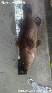 ���顡���ʡ�