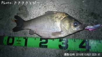 �ޥ֥�