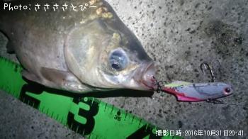 �ޥ֥�