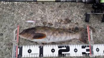 �����ʥ�