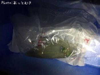 ¥¢¥ª¥ê¥¤¥«