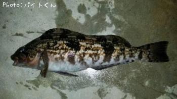 �����ʥ�