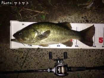 �֥�å��Х�