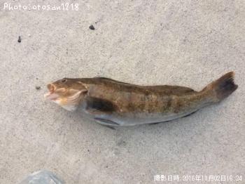 �����ʥ�