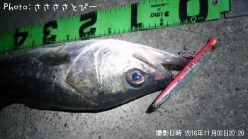 �����Х�