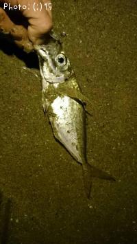 ���������������᥸��