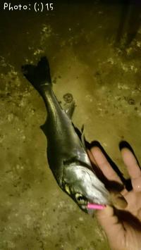 ���������������᥸��