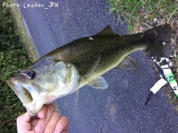 �֥�å��Х�