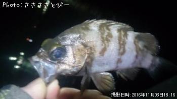 �����Х�����Х�