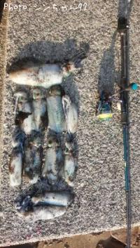 �����ꥤ��