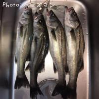 �����Х�