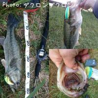 �֥�å��Х�