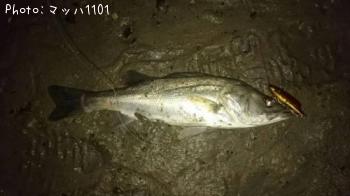 �����Х�