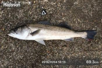 �����Х�