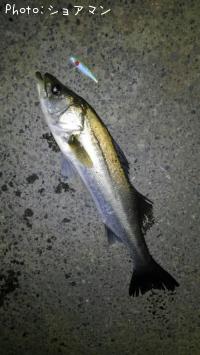 �����Х�