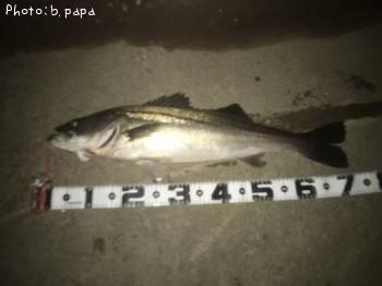 �����Х�