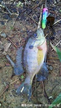 �֥롼����