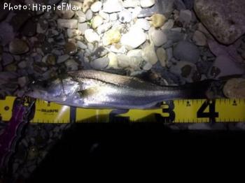 �����Х�