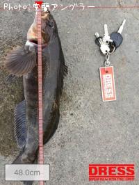 �����ʥ�