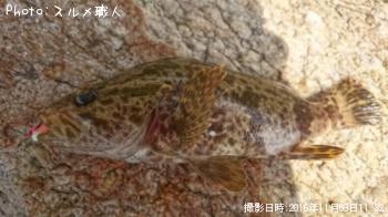 �����Υ���Х�