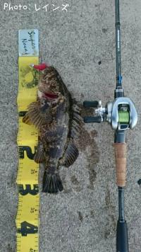 ���Υ���Х�