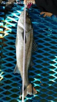 �����Х�