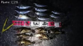 ��������Х�