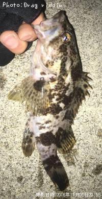 �����Υ���Х�