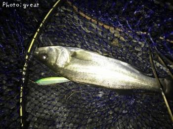 �����Х�