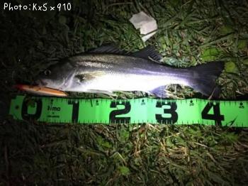 �����Х�